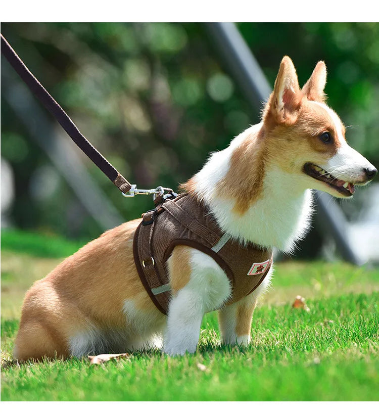 Dog Harness Dog Traction Rope Corduroy Breathable Dog Chest Strap Reflective Pet Chest Strap Walking Rope Set