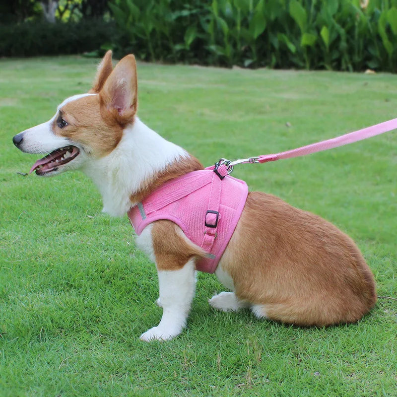Dog Harness Dog Traction Rope Corduroy Breathable Dog Chest Strap Reflective Pet Chest Strap Walking Rope Set