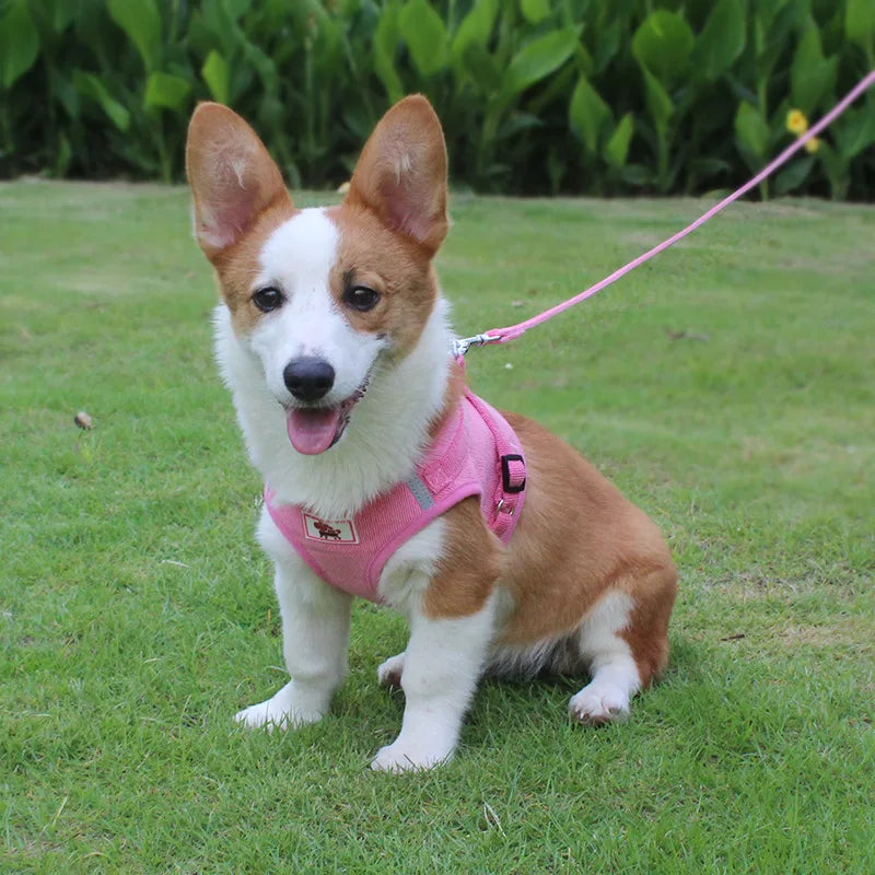 Dog Harness Dog Traction Rope Corduroy Breathable Dog Chest Strap Reflective Pet Chest Strap Walking Rope Set