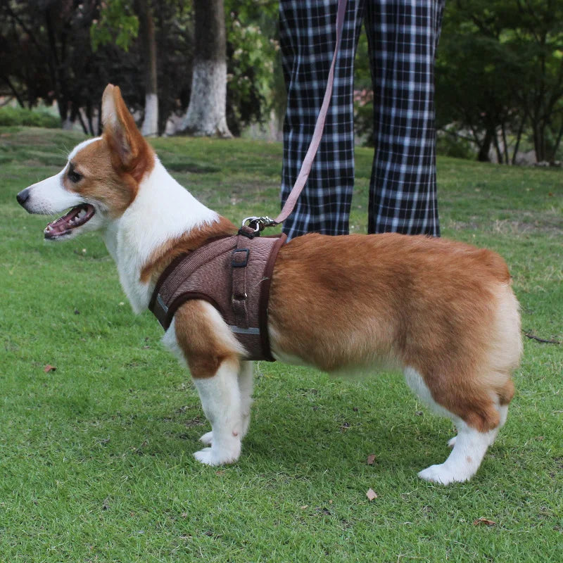 Dog Harness Dog Traction Rope Corduroy Breathable Dog Chest Strap Reflective Pet Chest Strap Walking Rope Set