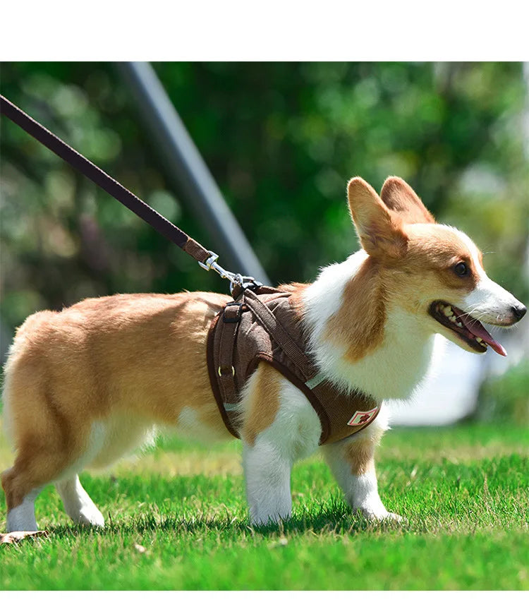 Dog Harness Dog Traction Rope Corduroy Breathable Dog Chest Strap Reflective Pet Chest Strap Walking Rope Set