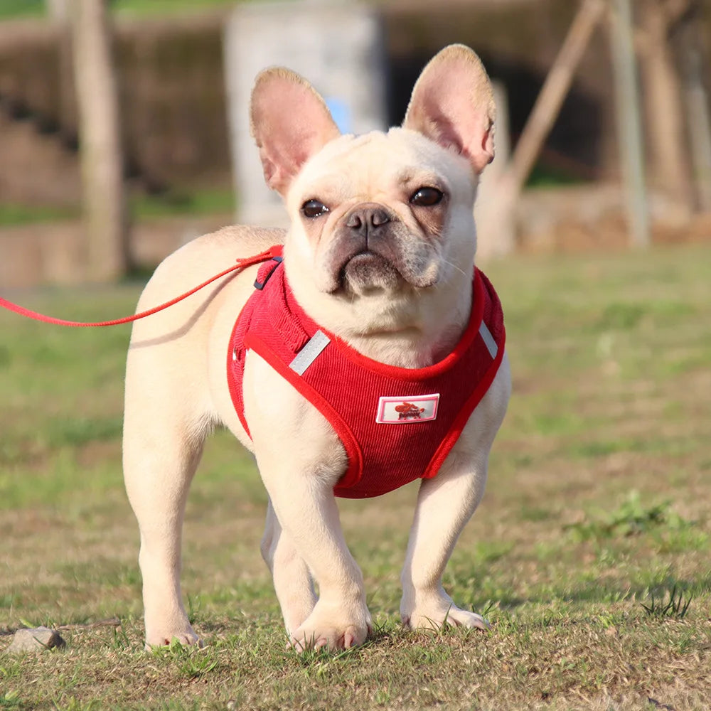 Dog Harness Dog Traction Rope Corduroy Breathable Dog Chest Strap Reflective Pet Chest Strap Walking Rope Set