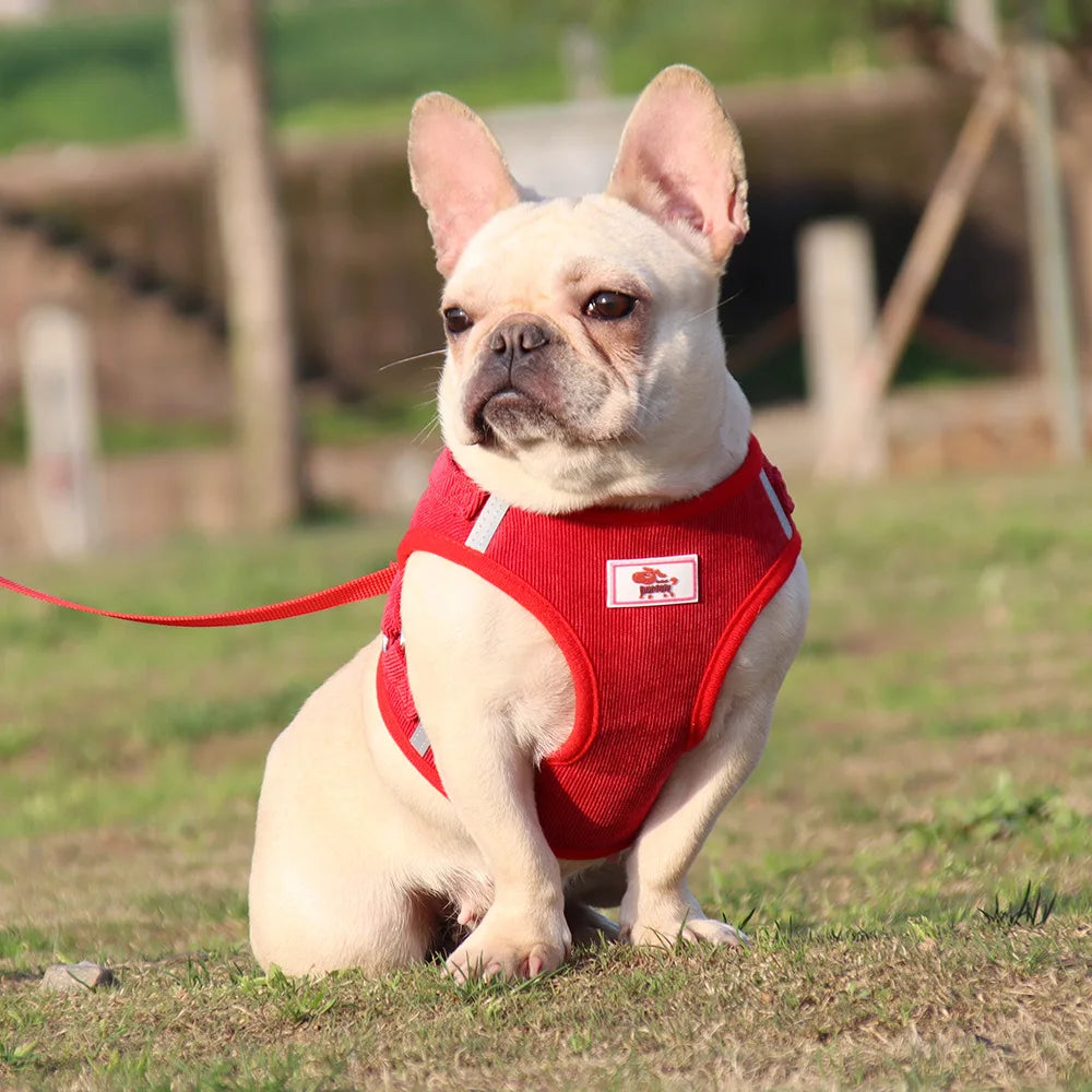 Dog Harness Dog Traction Rope Corduroy Breathable Dog Chest Strap Reflective Pet Chest Strap Walking Rope Set
