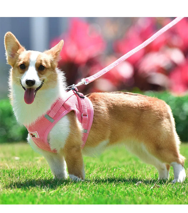Dog Harness Dog Traction Rope Corduroy Breathable Dog Chest Strap Reflective Pet Chest Strap Walking Rope Set