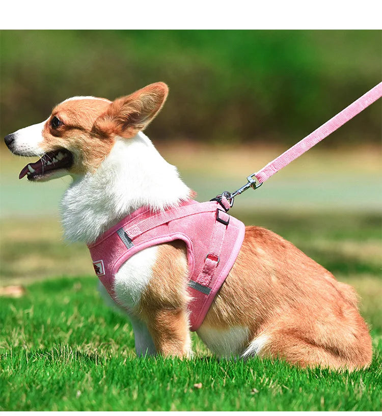 Dog Harness Dog Traction Rope Corduroy Breathable Dog Chest Strap Reflective Pet Chest Strap Walking Rope Set