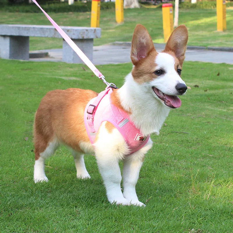 Dog Harness Dog Traction Rope Corduroy Breathable Dog Chest Strap Reflective Pet Chest Strap Walking Rope Set