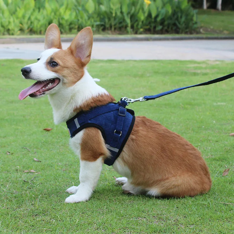 Dog Harness Dog Traction Rope Corduroy Breathable Dog Chest Strap Reflective Pet Chest Strap Walking Rope Set