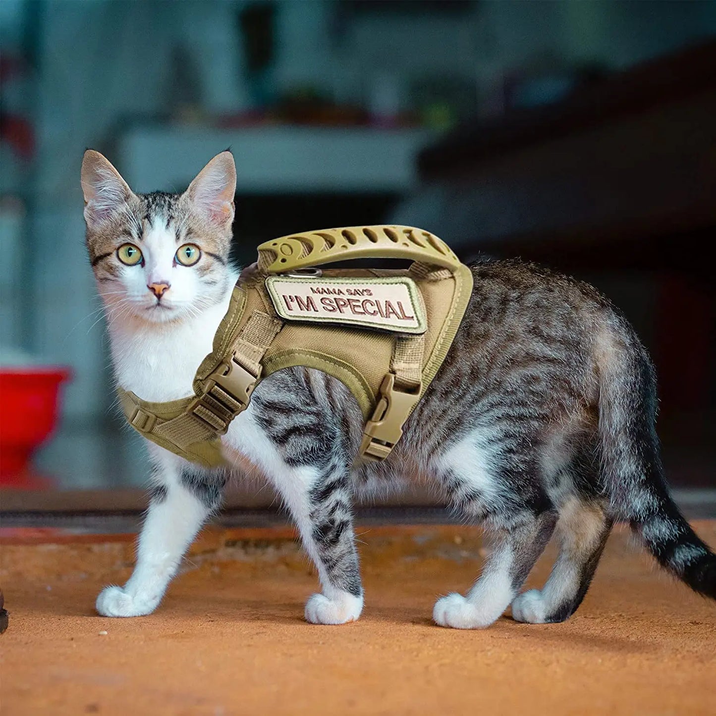 Tactical Cat Harness for Walking – Escape Proof, Adjustable Soft Mesh Pet Vest with Control Handle for Large Cats and Small Dogs