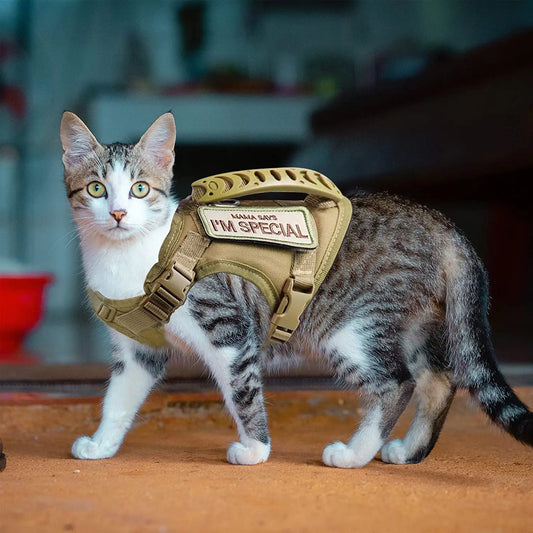 Tactical Cat Harness for Walking – Escape Proof, Adjustable Soft Mesh Pet Vest with Control Handle for Large Cats and Small Dogs