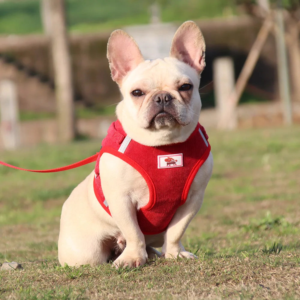 Dog Harness Dog Traction Rope Corduroy Breathable Dog Chest Strap Reflective Pet Chest Strap Walking Rope Set