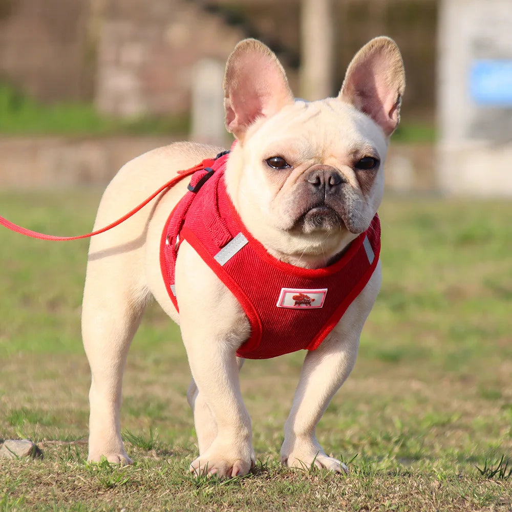Dog Harness Dog Traction Rope Corduroy Breathable Dog Chest Strap Reflective Pet Chest Strap Walking Rope Set